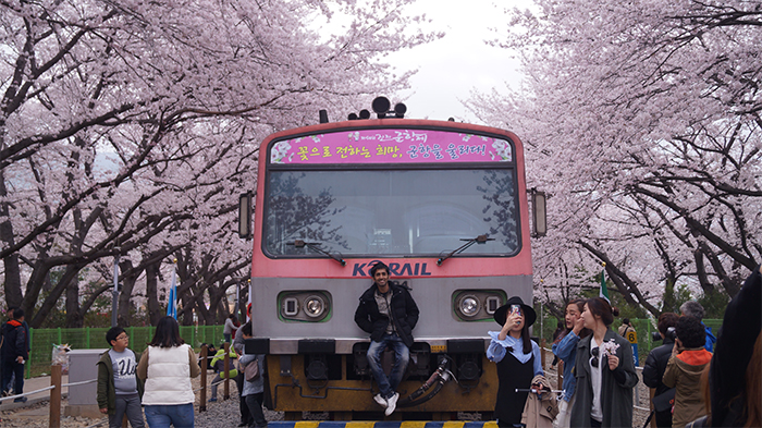 170321_cherry blossom25_in.jpg